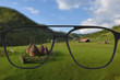 Clear image in glasses against blurry landscape