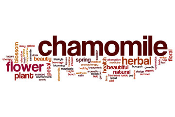 Wall Mural - Chamomile word cloud