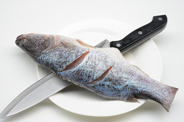 Wall Mural - seabass or barramundi fish on white background
