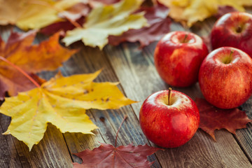 red autumn apples with maple leaves on wooden table