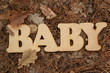 © dyageleva - Деревянное слово baby