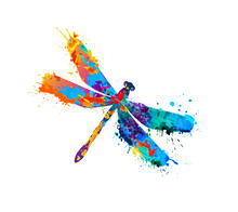 Dragonfly Of Splash Paint