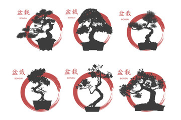 Wall Mural - Bonsai set. Black silhouette of a bonsai on a white background.
