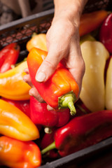 Canvas Print - red pepper in hand