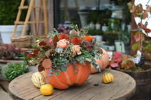 Floral Arrangement Of Fresh Flowers In A Pumpkin, Halloween