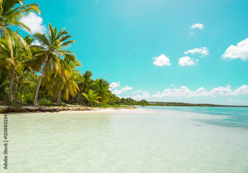 Saona Island, Punta Cana, Dominican Republic, green filter - obrazy, fototapety, plakaty 