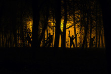 Crowd Of Hungry Zombies In The Woods. Silhouettes Of Scary Zombies Walking In The Forest At Night