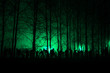 crowd of hungry zombies in the woods. Silhouettes of scary zombies walking in the forest at night. green Acid variant