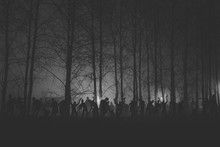 Crowd Of Hungry Zombies In The Woods. Silhouettes Of Scary Zombies Walking In The Forest At Night. Black And White Version