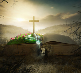 Fototapete - Bible with garden and cross