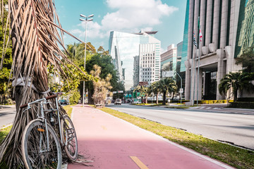 Sticker - Bike Path in the Streets of Sao Paulo, Brazil (Brasil)