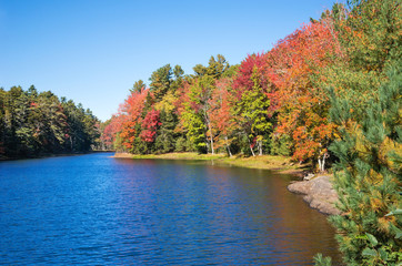Wall Mural - colorful autumn trees by a lake in new england