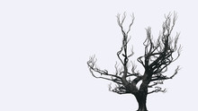 Silhouette Of Bare Tree  Halloween Horror Background