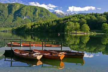 Wall Mural - lake boats