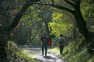 Wall Mural - hikers on path