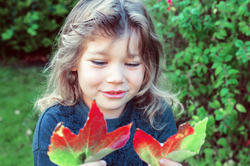 Wall Mural - collecte de feuille en automne