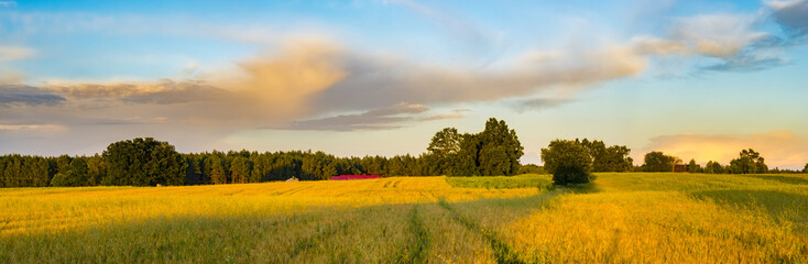 Wall Mural - spring fields