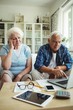 © WavebreakmediaMicro - Worried senior couple using laptop