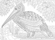 Stylized pelican bird among foliage. Freehand sketch for adult anti stress coloring book page with doodle and zentangle elements.