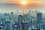 Fototapeta Miasto - Tokyo skyline, aerial view at dusk