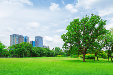 In city parks, lawns