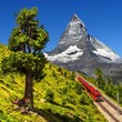 Swiss beauty, rack railway under Matterhorn,Zermatt,Valais,Switzerland,Europe