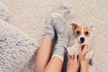 Woman wearing cozy warm wool socks relaxing at home, playing with dog, jack Russel terrier,top view. Soft, comfy lifestyle.