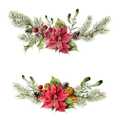 watercolor winter floral elements on white background. vintage style set with christmas tree branche