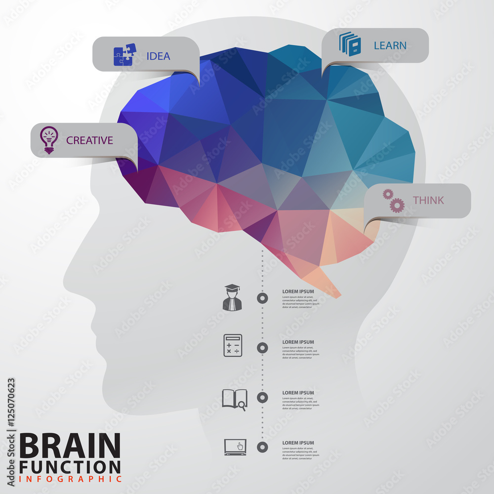 Vector Brain with Human Head infographics Design Conceptual Polygon ...