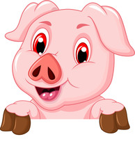 Pig Cartoon With Blank Board