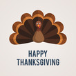 Turkey bird for Happy Thanksgiving
