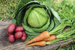 Image of Harvested Kitchen Garden Vegetables
