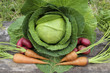Image of Harvested Kitchen Garden Vegetables
