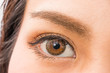 © norikko - カラコンの女性の片目 woman of colored contact lenses