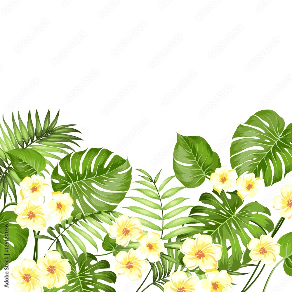 Decorative tropical border horizontal line in the bottom. Happy holiday  card with a floral garland. Bridal garland set with tropical flowers for  invitation card. Vector illustration. Stock Vector | Adobe Stock, image size:1000x1000