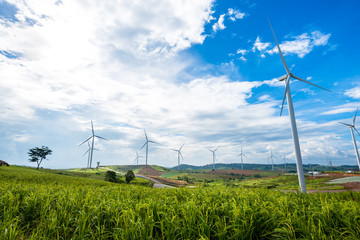 wind turbine with rice field on hill