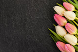 Fototapeta Tulipany - Tulpen mit Schiefer