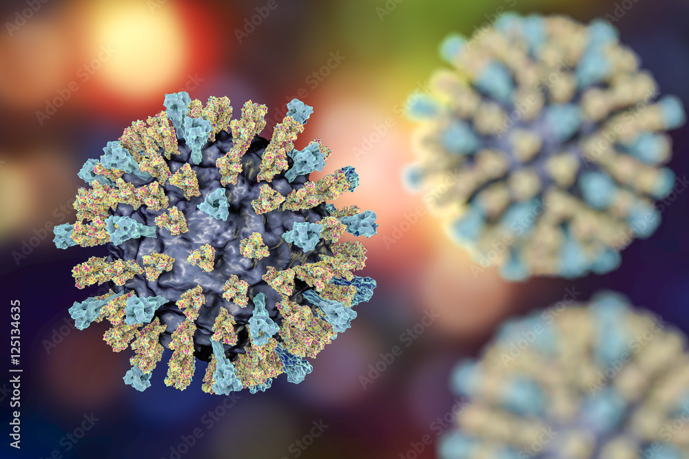 Measles virus. 3D illustration showing structure of measles virus with surface glycoprotein spikes heamagglutinin-neuraminidase and fusion protein - obrazy, fototapety, plakaty 