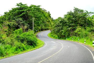 Winding road in the countryside With trees on both sides.