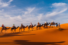 Karawane In Den Dünen Der Sahara Bei Merzouga (Erg Chebbi); Marokko