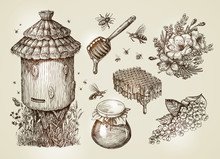 Hand Drawn Honey, Beekeeping, Bees. Collection Vintage Sketch Vector Illustration