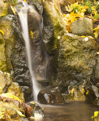 Wall Mural - Autumn landscape, small waterfall with fallen yellow leaves