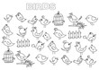 Hand drawn birds set. Coloring book page template.  Outline doodle vector illustration.