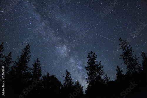 Zdjęcie XXL Droga Mleczna przechodzi przez nocne niebo za drzewem