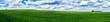 grünes Getreidefeld mit Wolken als Panorama