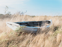 Old Rowing Boat Aground In Fern