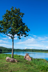 Canvas Print - Landscape View of Mae Puem Reservoir