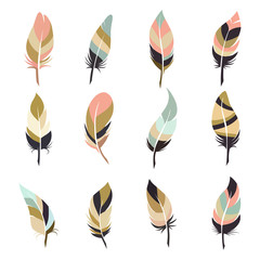 Wall Mural - boho style feather set isolated on white background. vector illustration