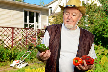 Wall Mural - cucumber and peppers