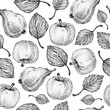 Vector hand drawn apple and pear seamless pattern. Summer fruits. Engraved style. Background. Detailed food drawing. Great for summer decor or detox program.